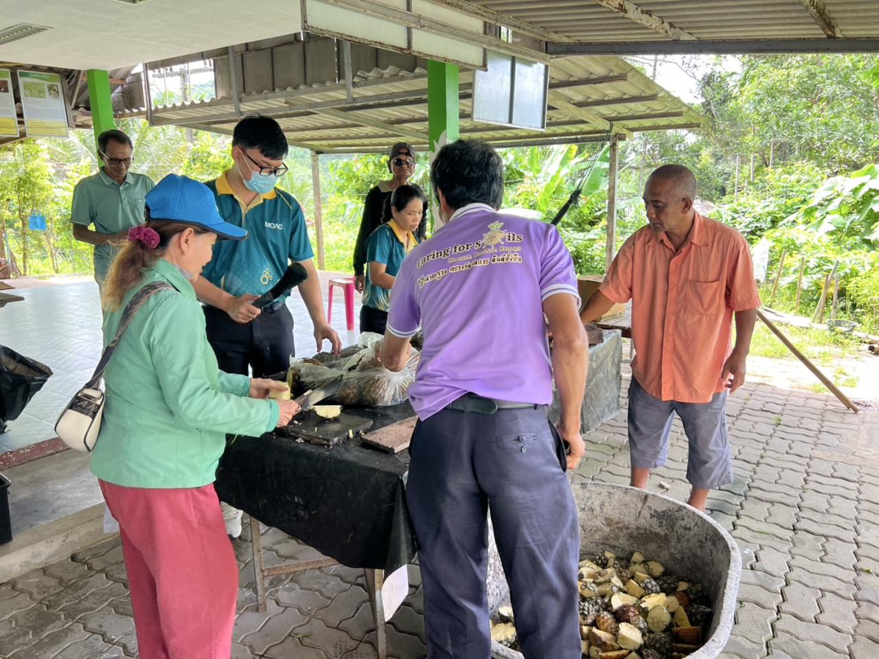 ภาพประกอบที่ 1