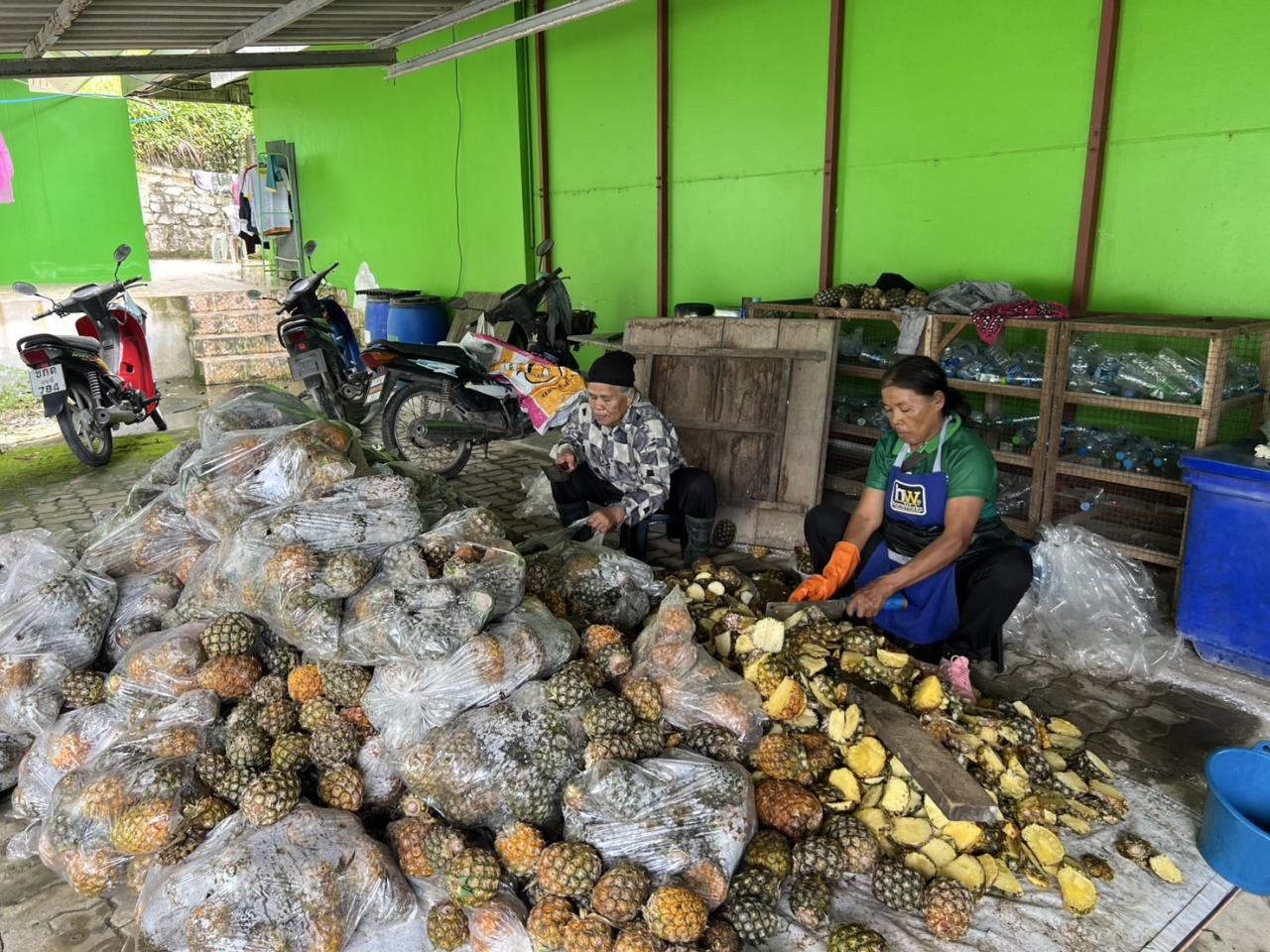 ภาพประกอบที่ 5
