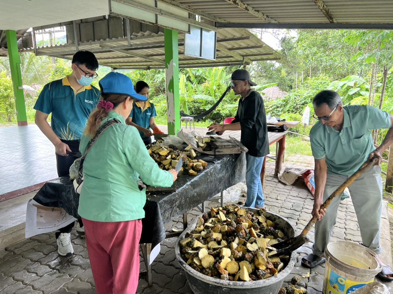 ภาพประกอบที่ 6