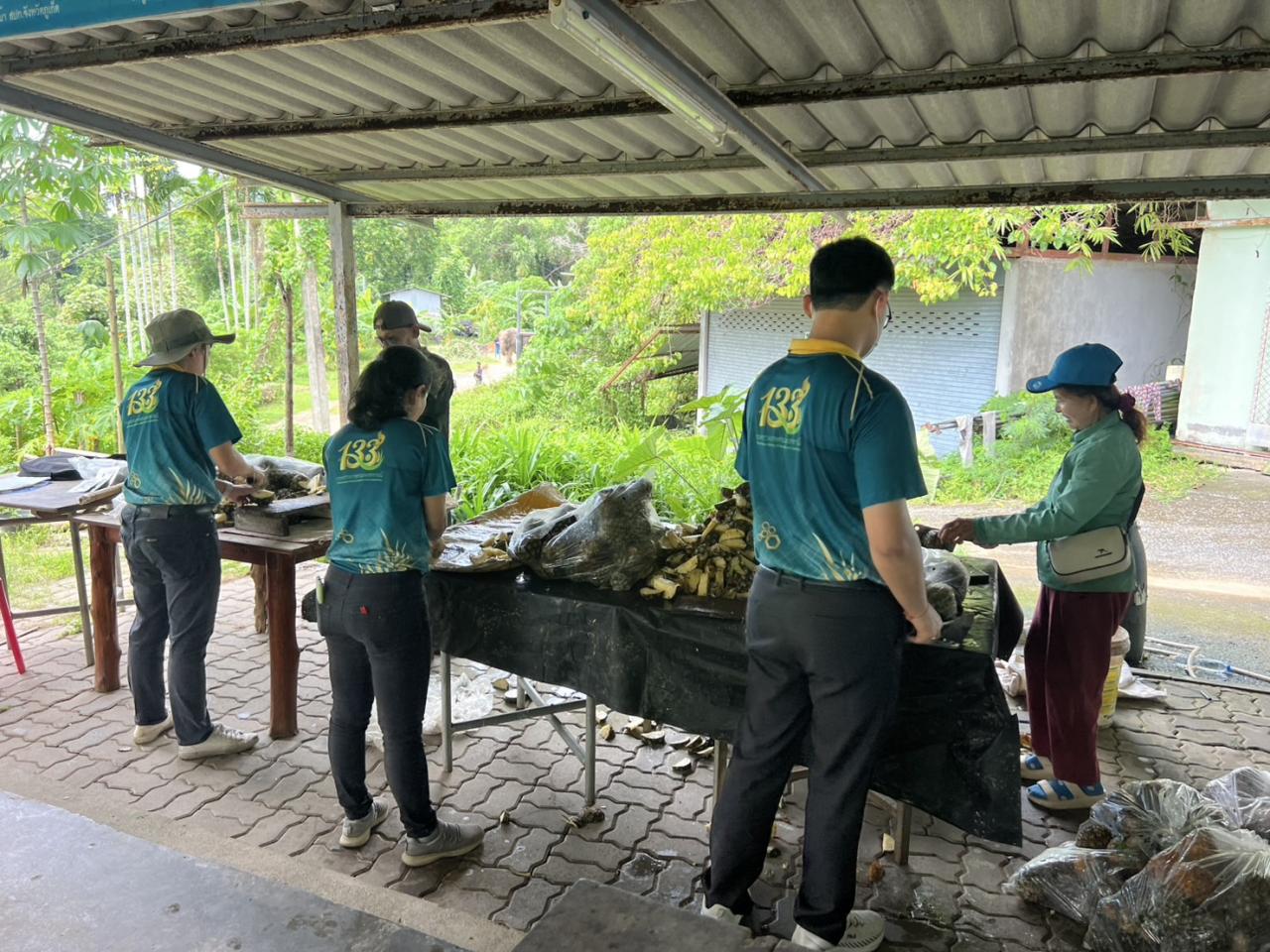 ภาพประกอบที่ 7