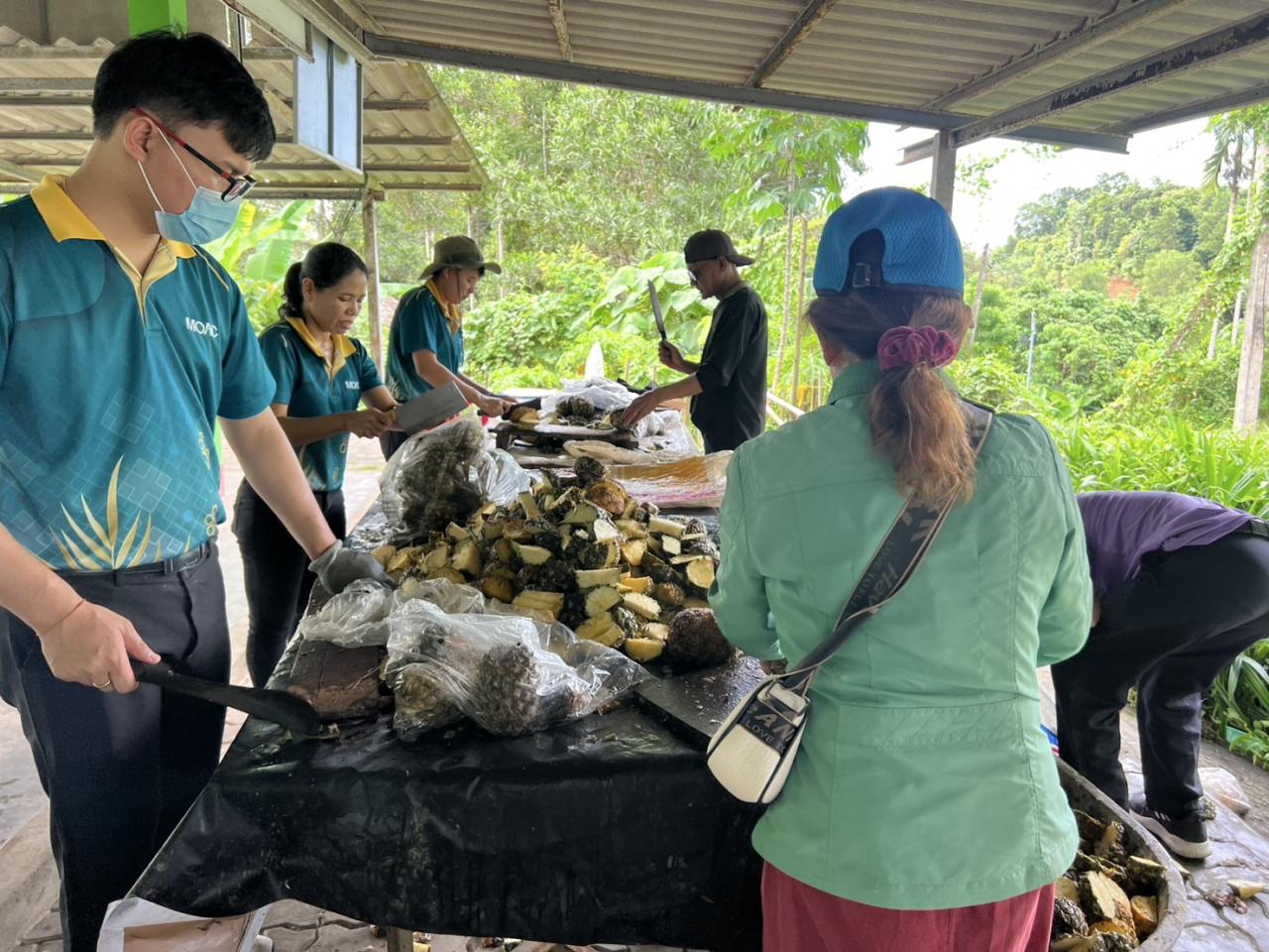 ภาพประกอบที่ 9