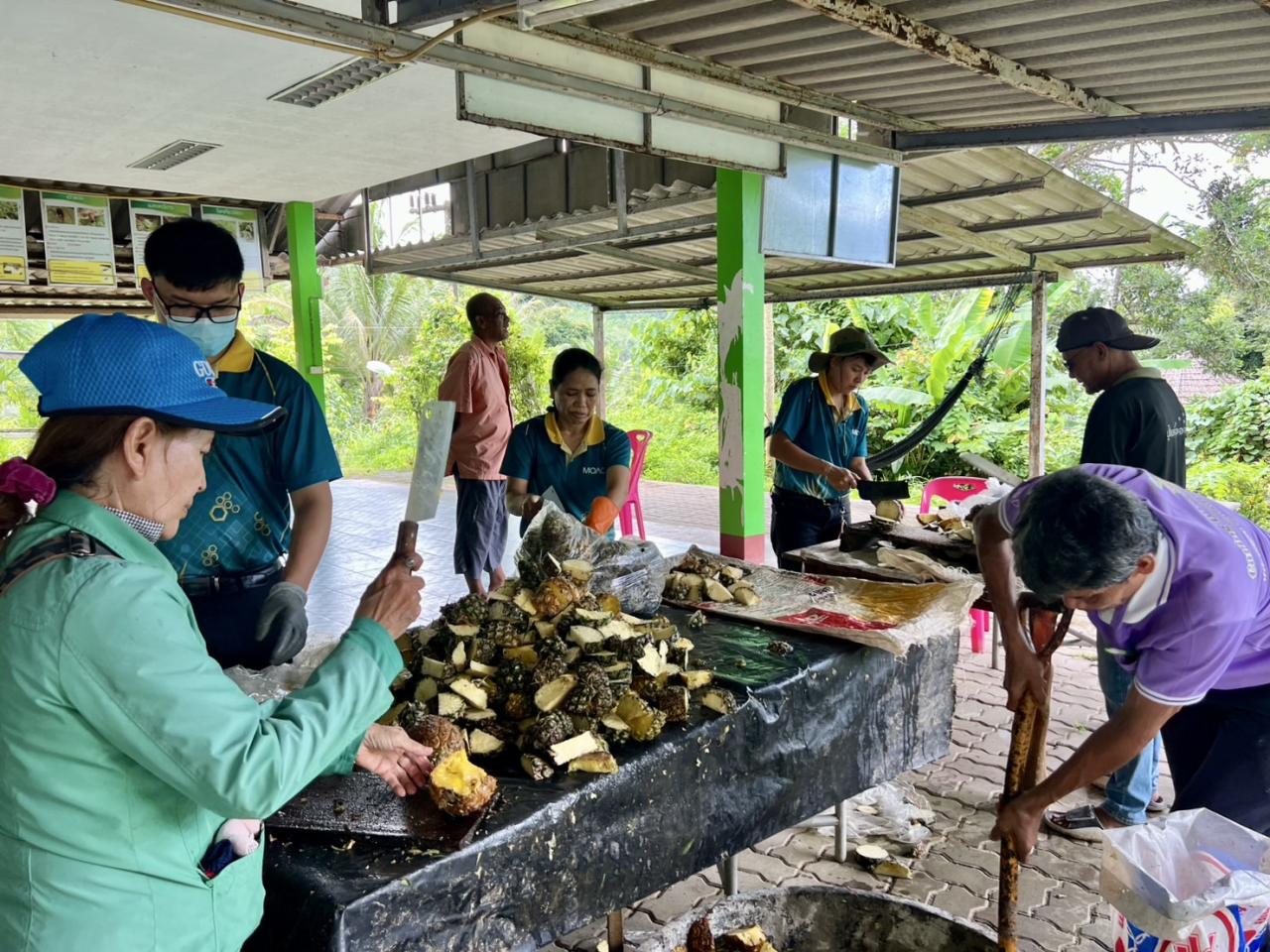 ภาพประกอบที่ 10