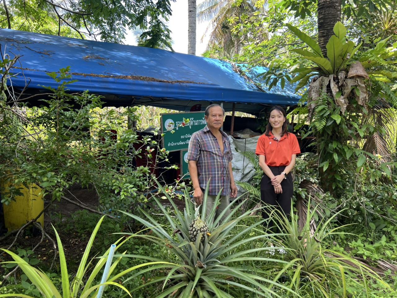 ภาพประกอบที่ 1