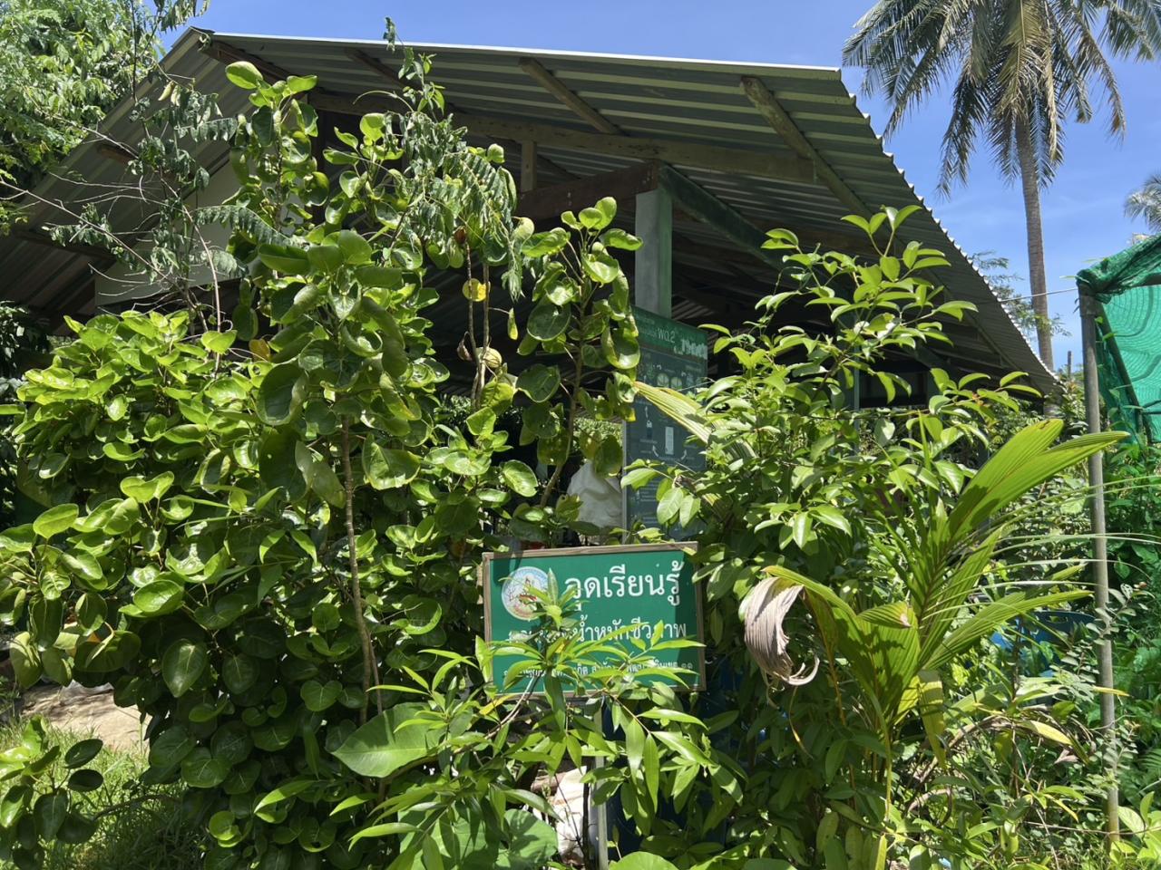 ภาพประกอบที่ 4