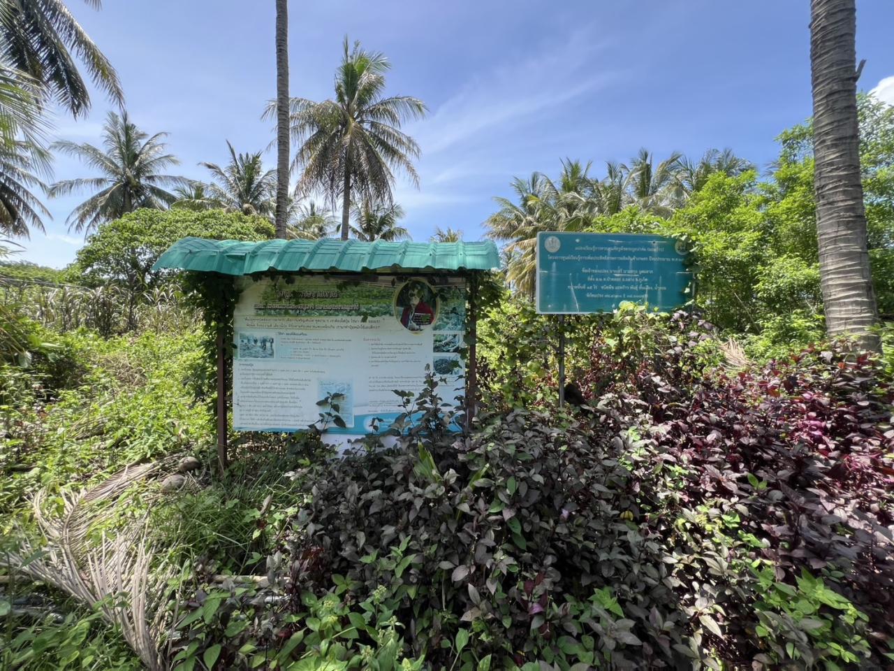 ภาพประกอบที่ 5