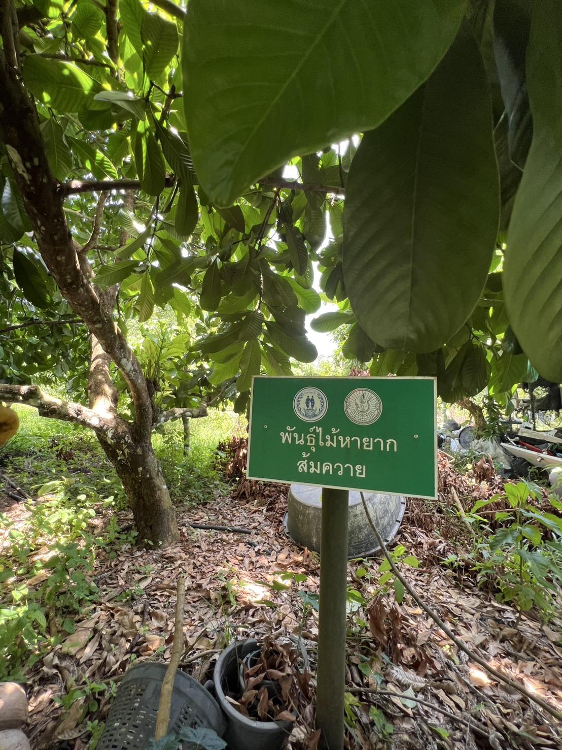 ภาพประกอบที่ 7