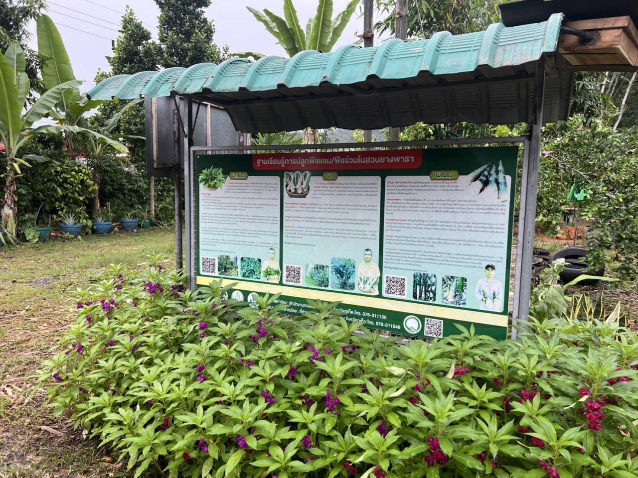 ภาพประกอบที่ 9