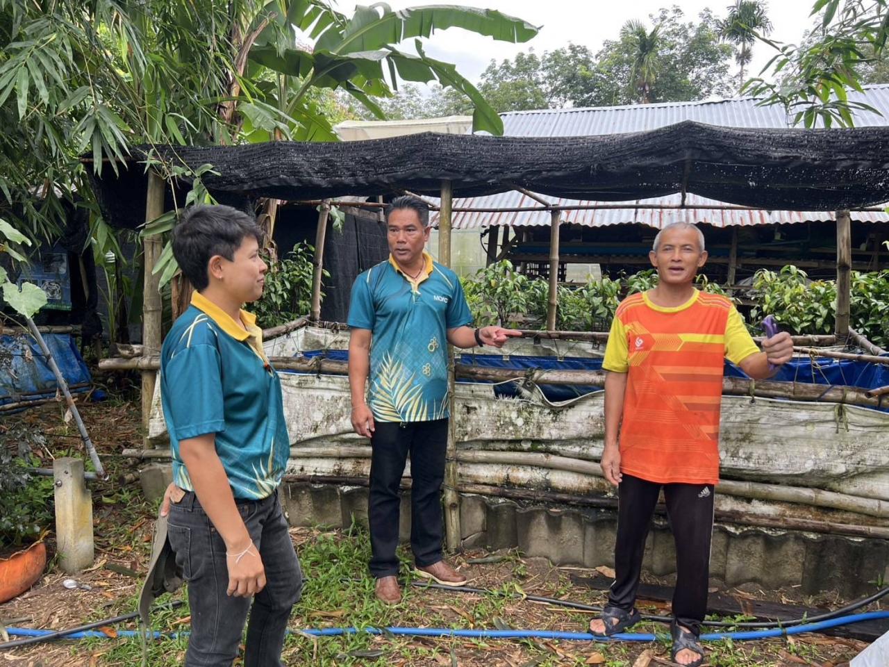 ภาพประกอบที่ 12