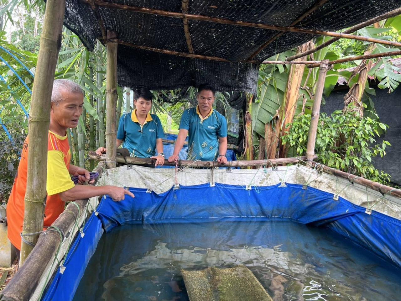 ภาพประกอบที่ 14