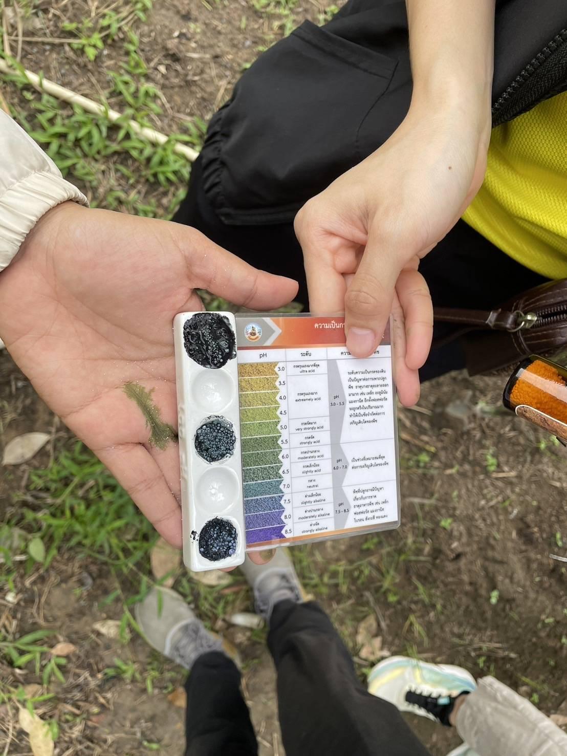 ภาพประกอบที่ 3