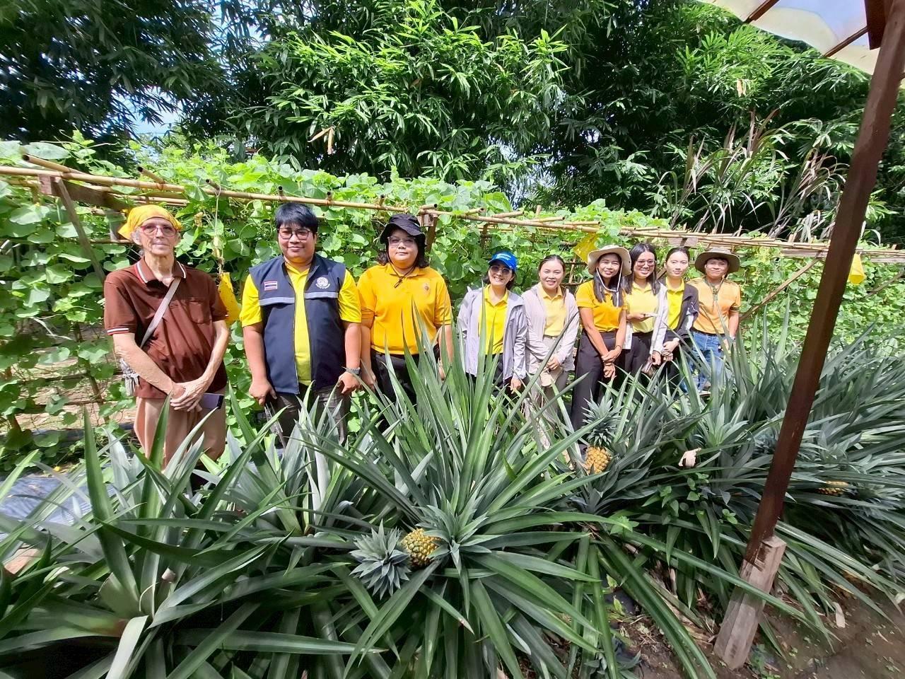 ภาพประกอบที่ 4