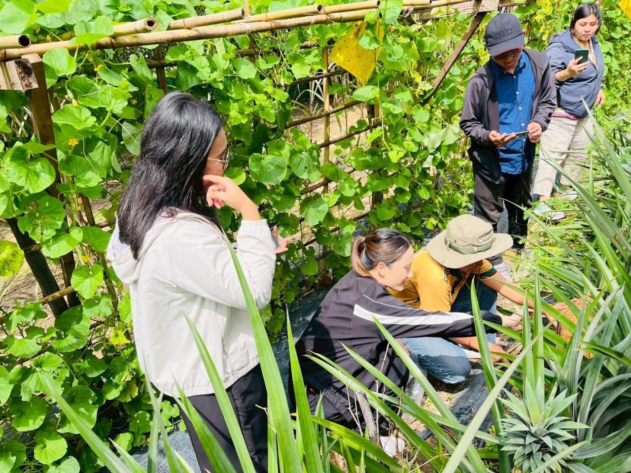 ภาพประกอบที่ 6