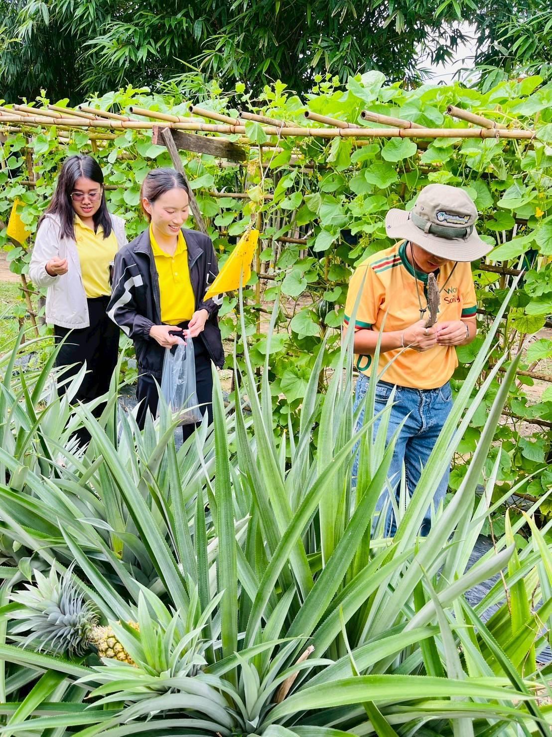 ภาพประกอบที่ 7