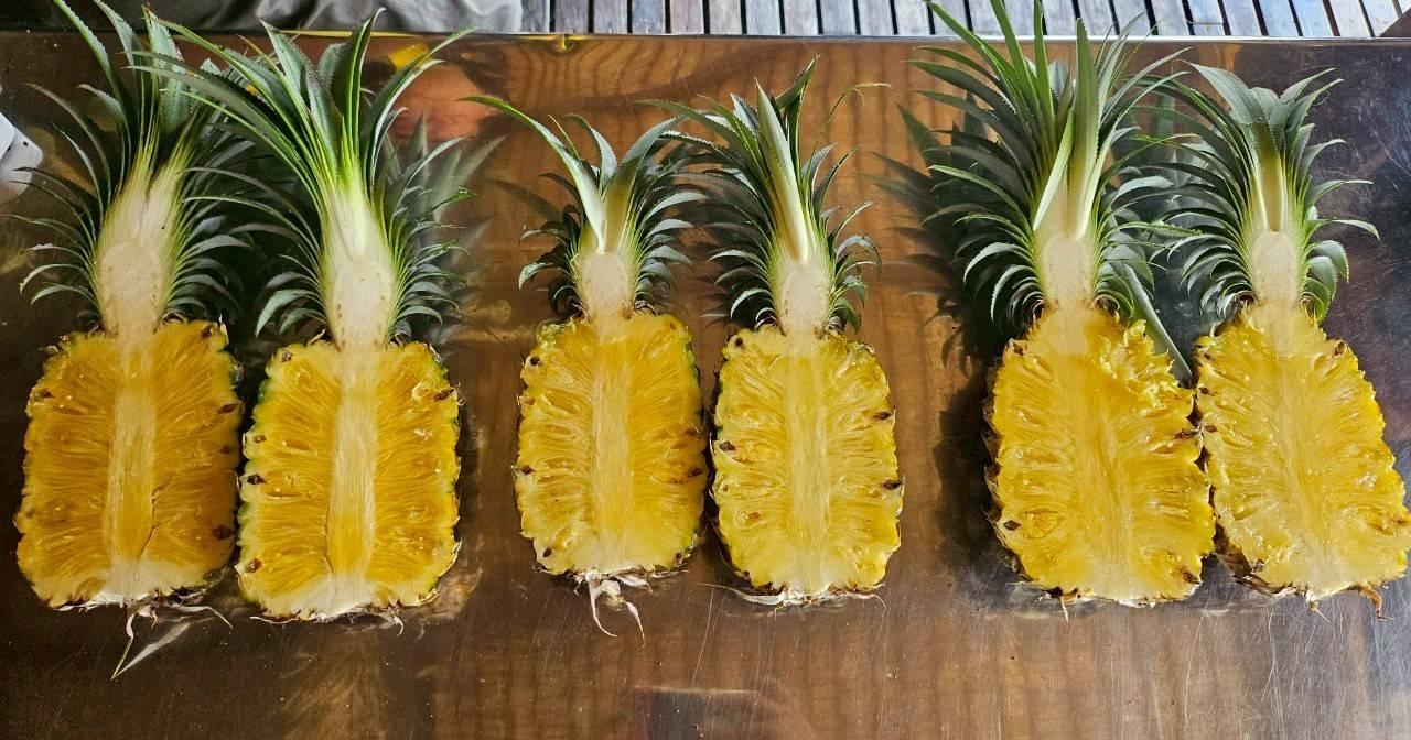 ภาพประกอบที่ 8