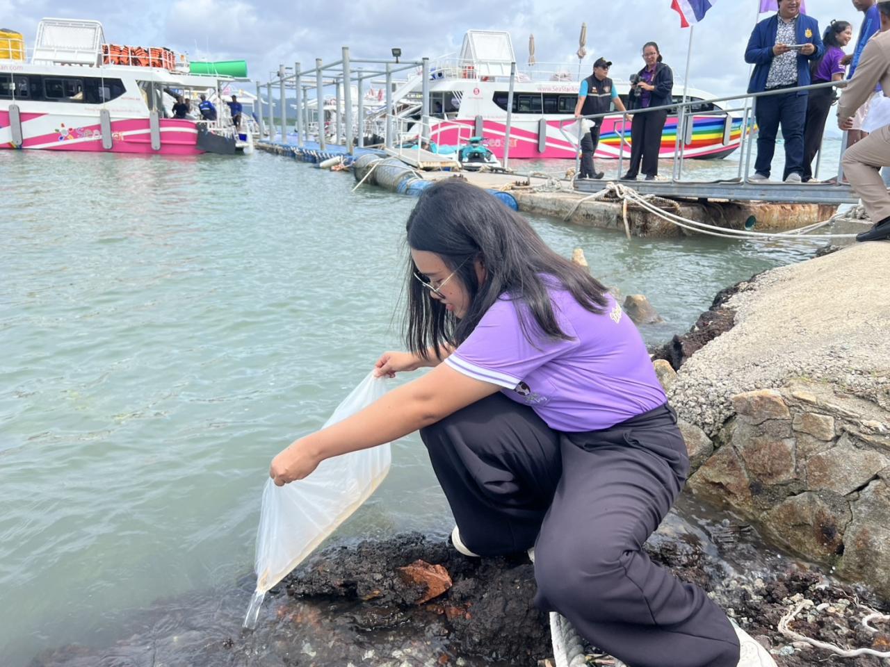 ภาพประกอบที่ 3