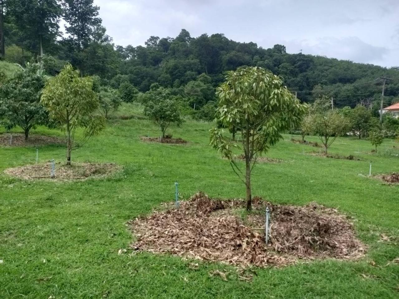 ภาพประกอบที่ 3