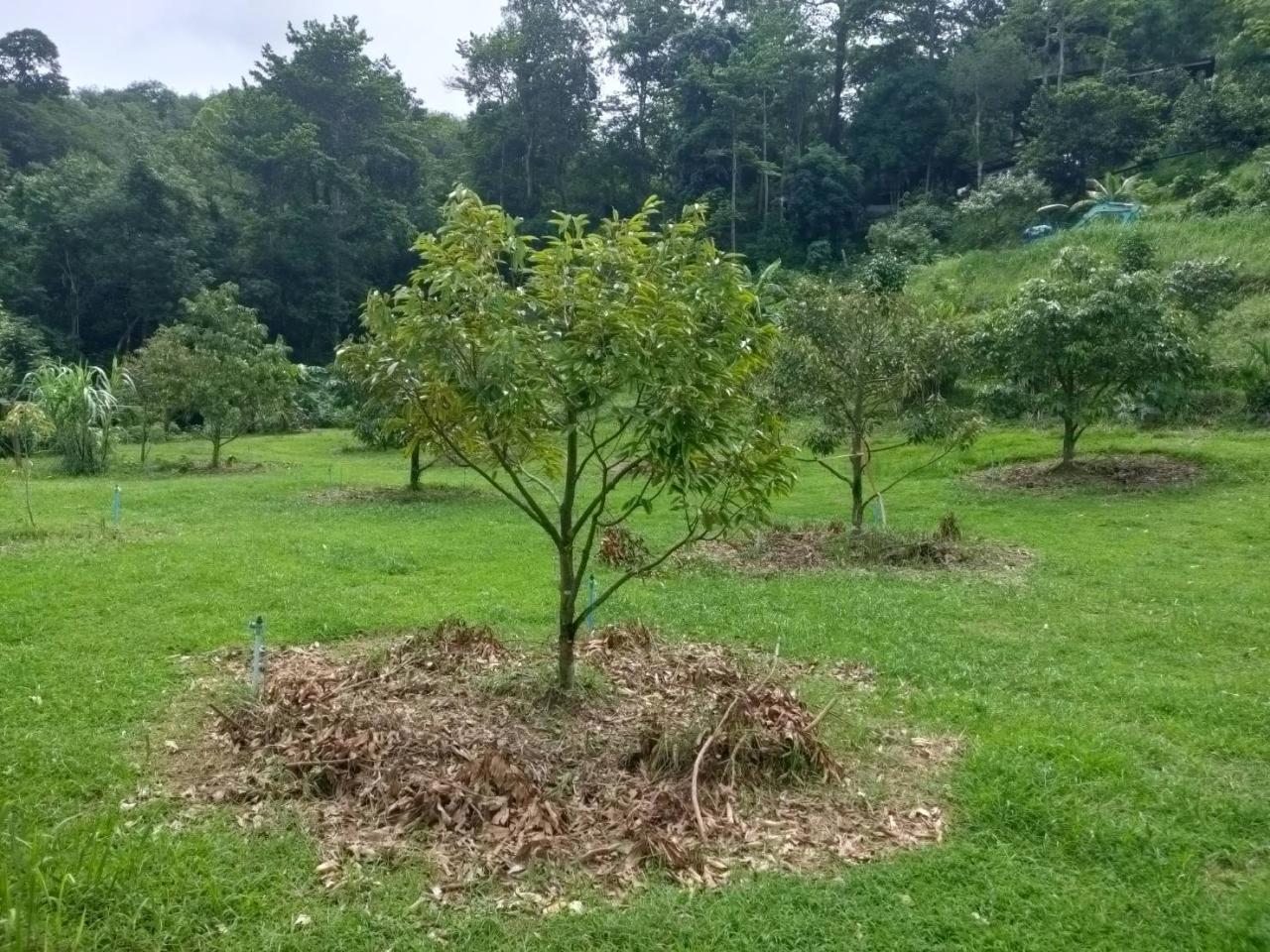 ภาพประกอบที่ 4