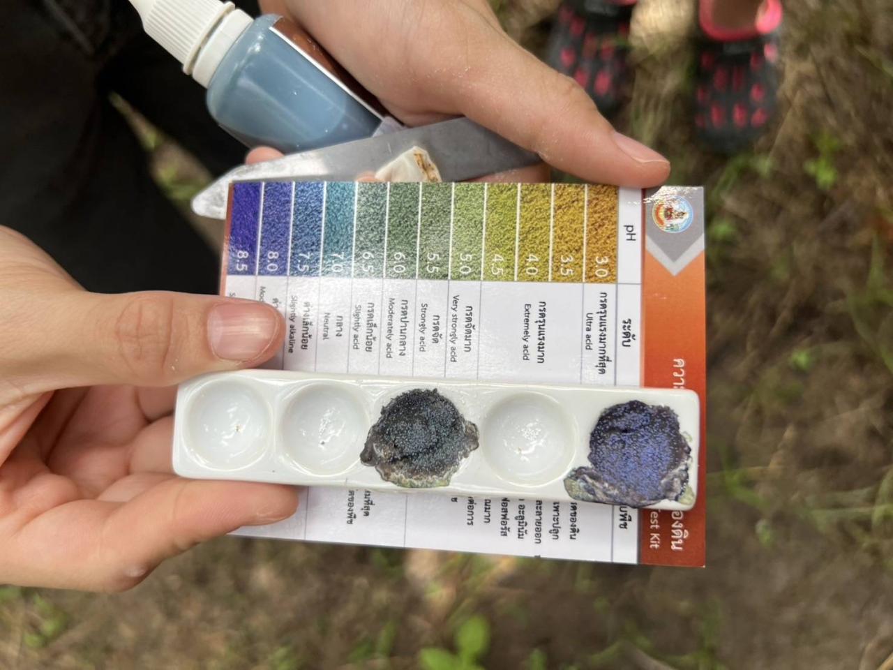 ภาพประกอบที่ 2