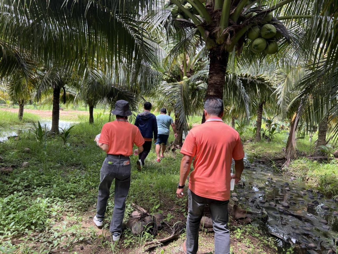 ภาพประกอบที่ 5