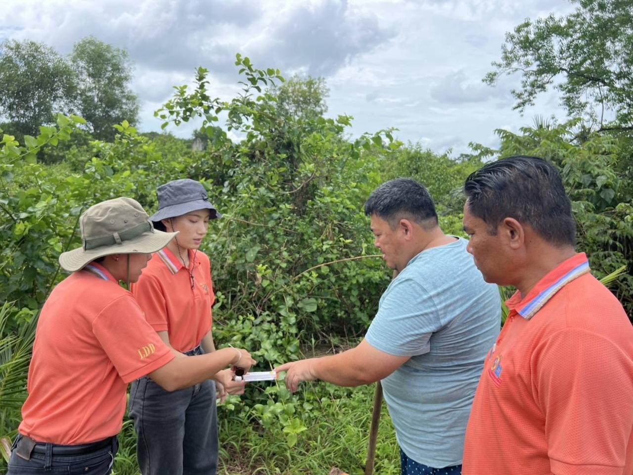 ภาพประกอบที่ 6