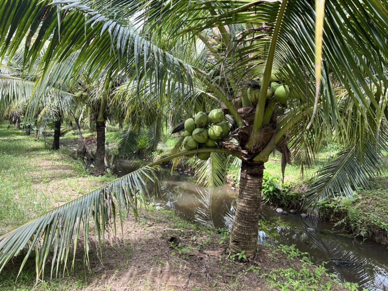 ภาพประกอบที่ 12
