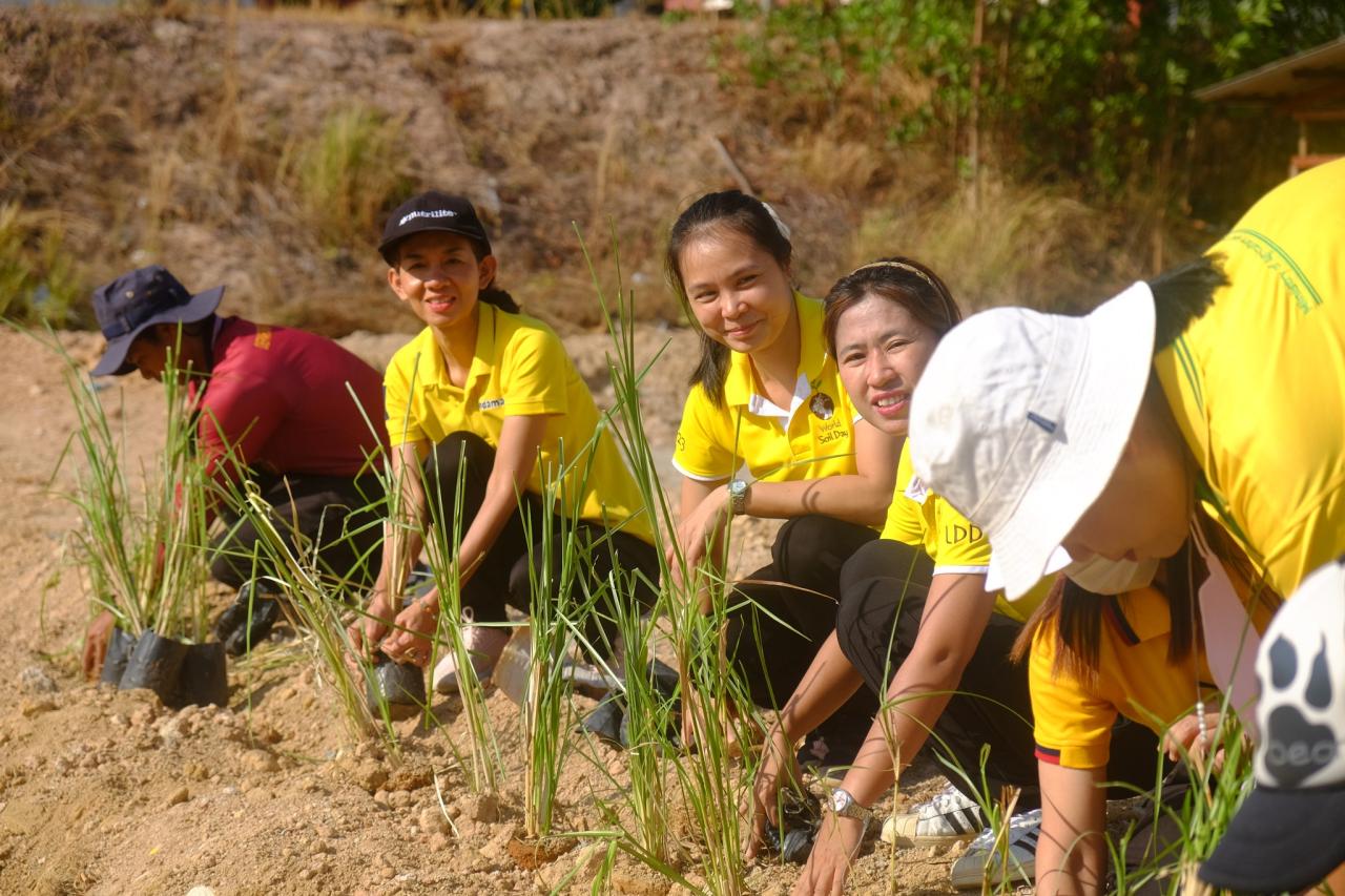 ภาพประกอบที่ 1