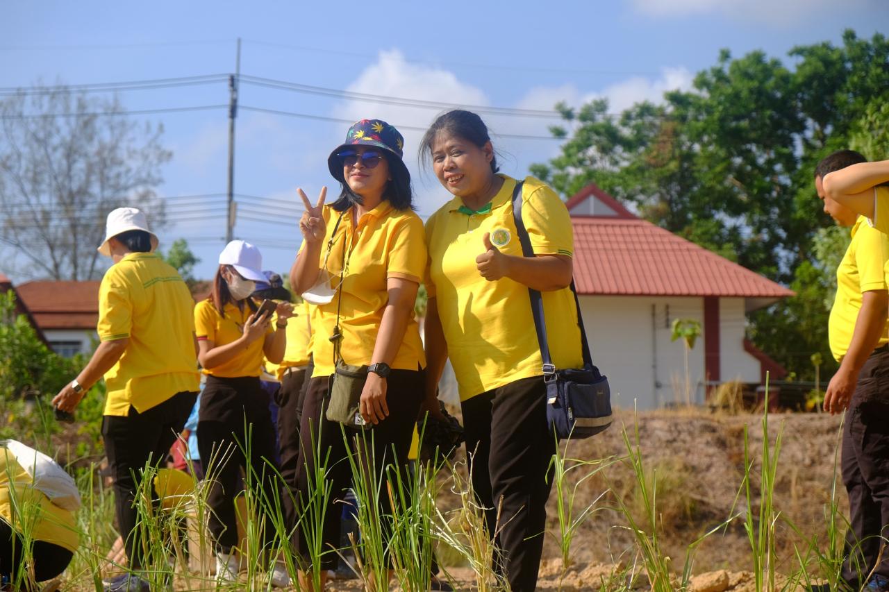 ภาพประกอบที่ 3