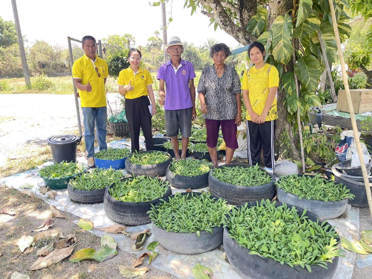 ภาพประกอบที่ 5