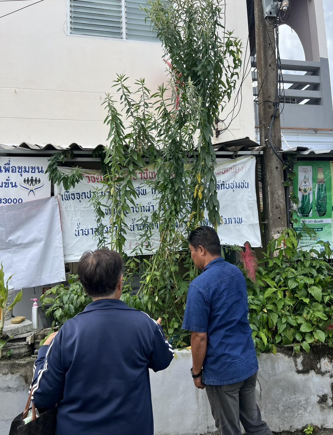 ภาพประกอบที่ 0