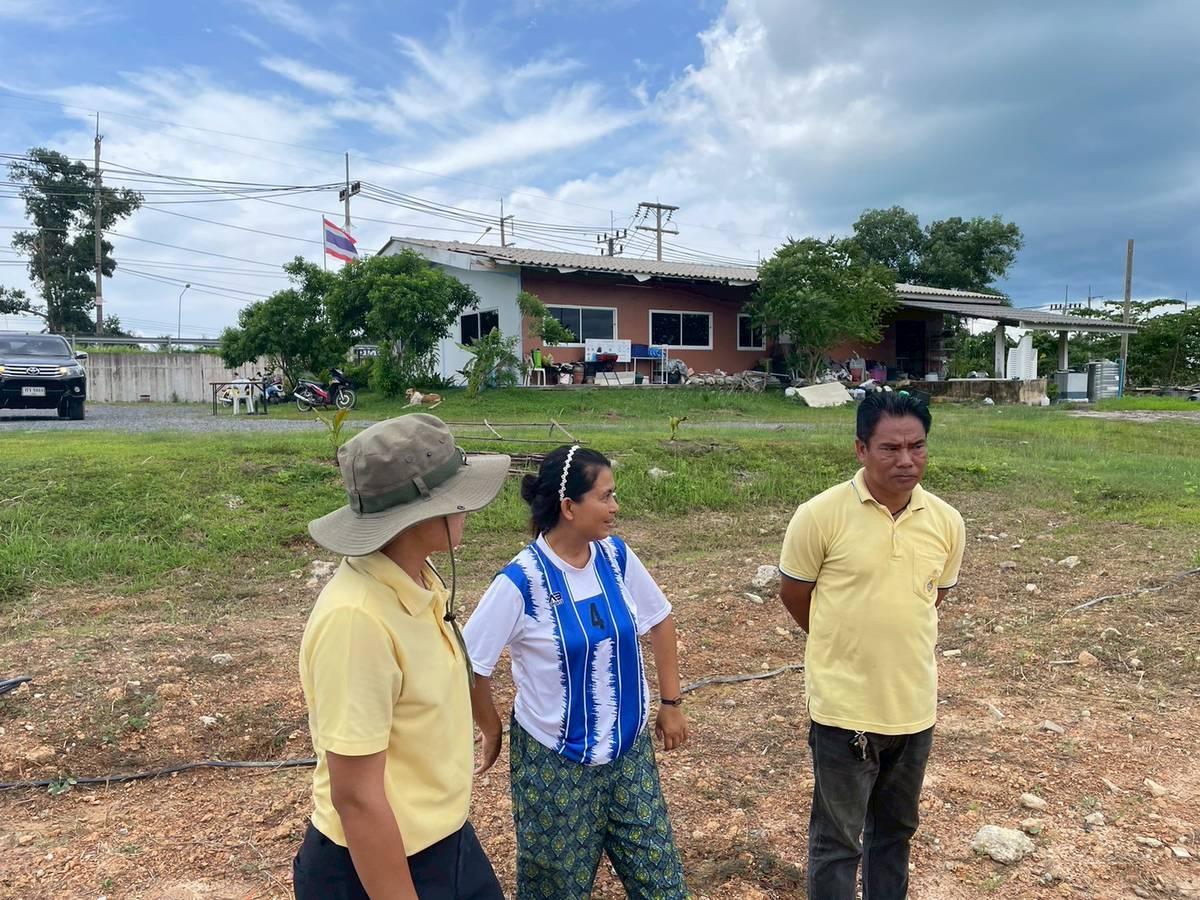 ภาพประกอบที่ 1