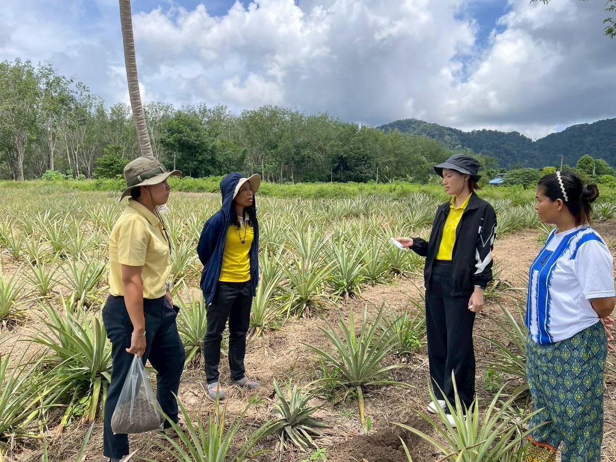 ภาพประกอบที่ 3