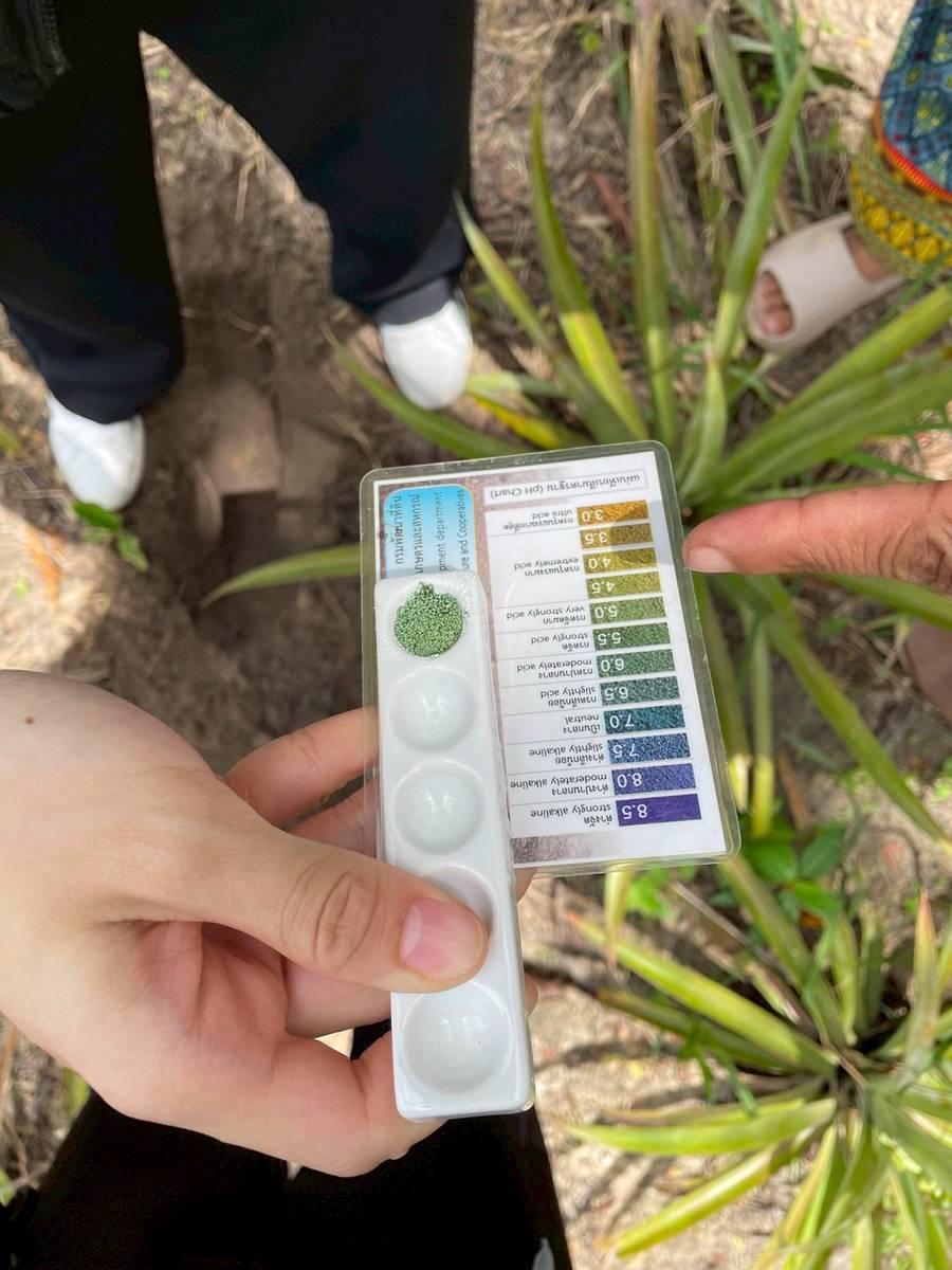 ภาพประกอบที่ 4