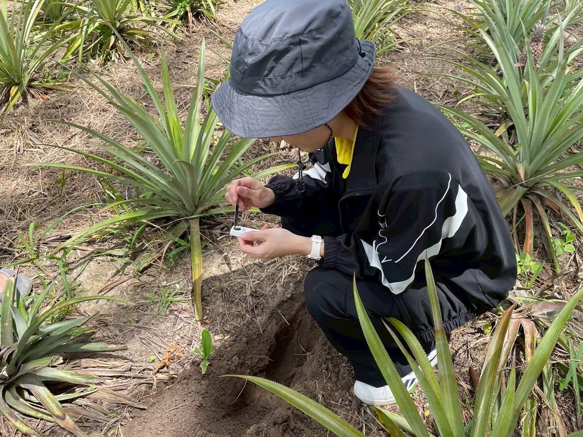 ภาพประกอบที่ 5