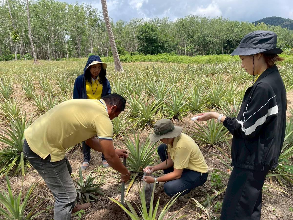ภาพประกอบที่ 6