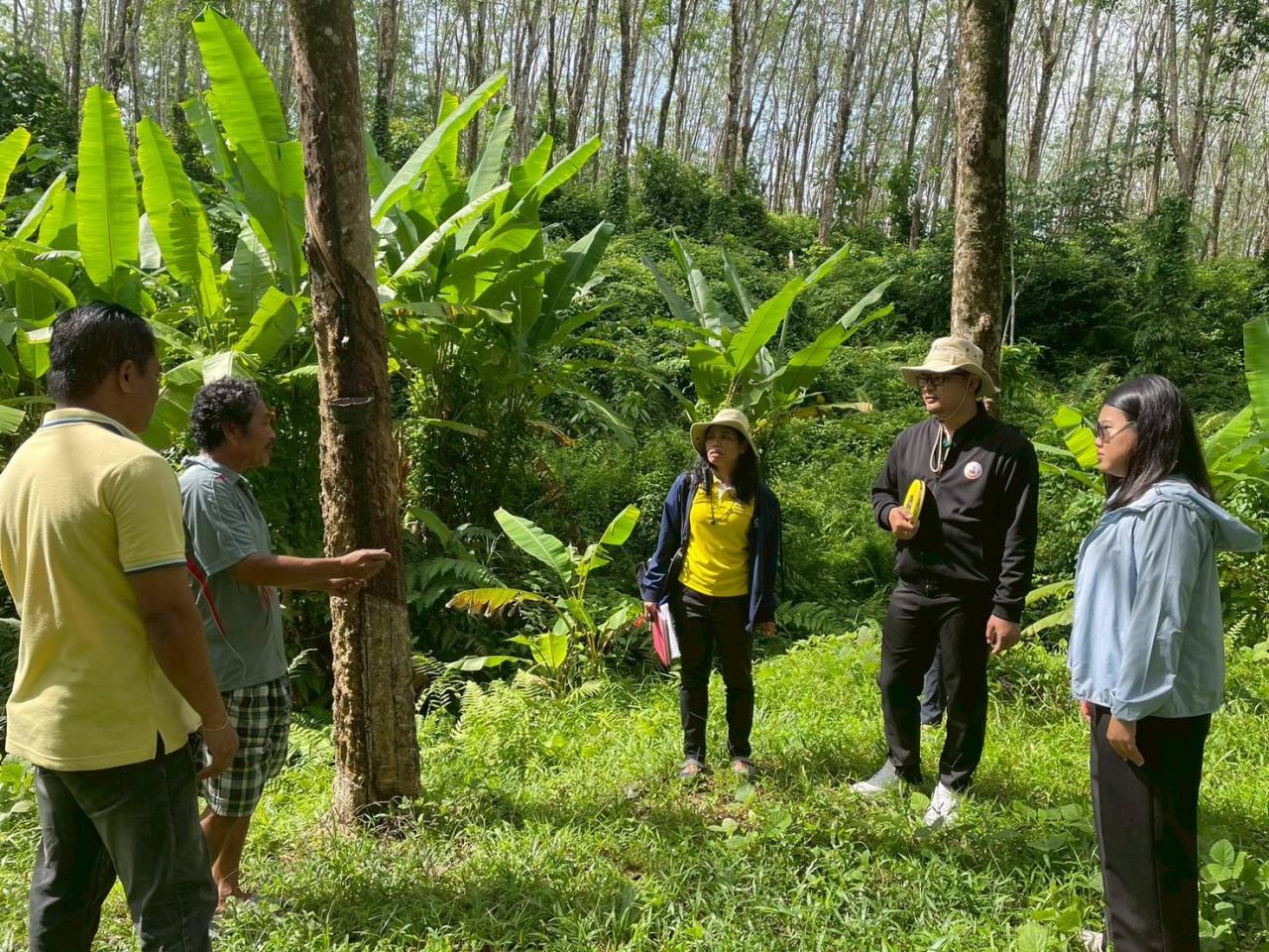 ภาพประกอบที่ 1