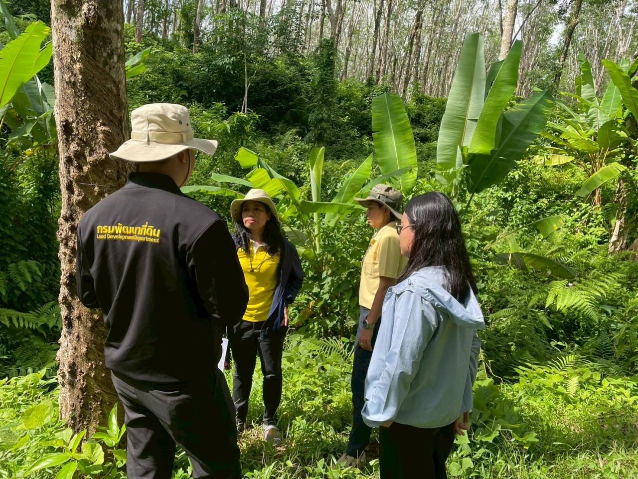 ภาพประกอบที่ 3
