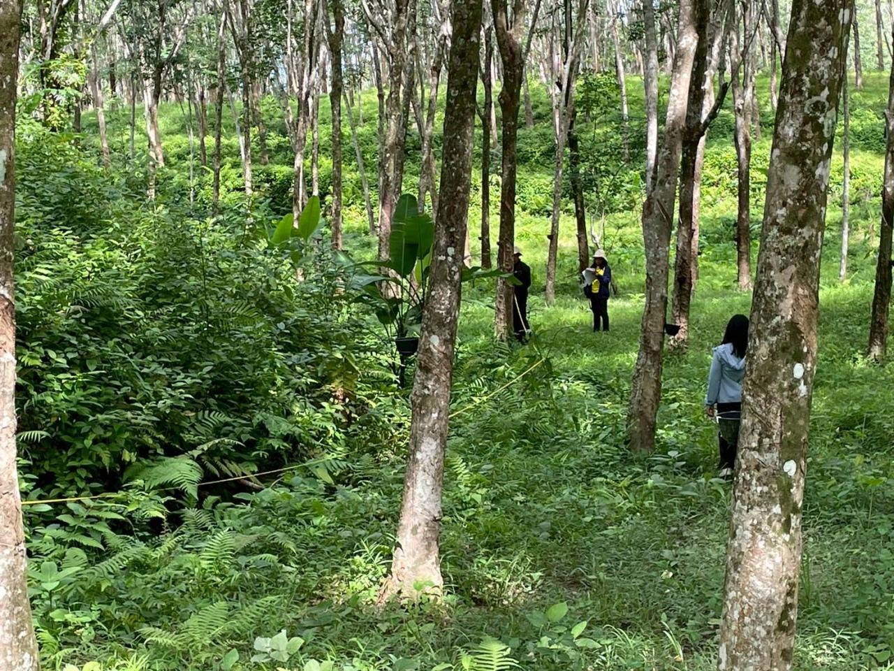 ภาพประกอบที่ 5