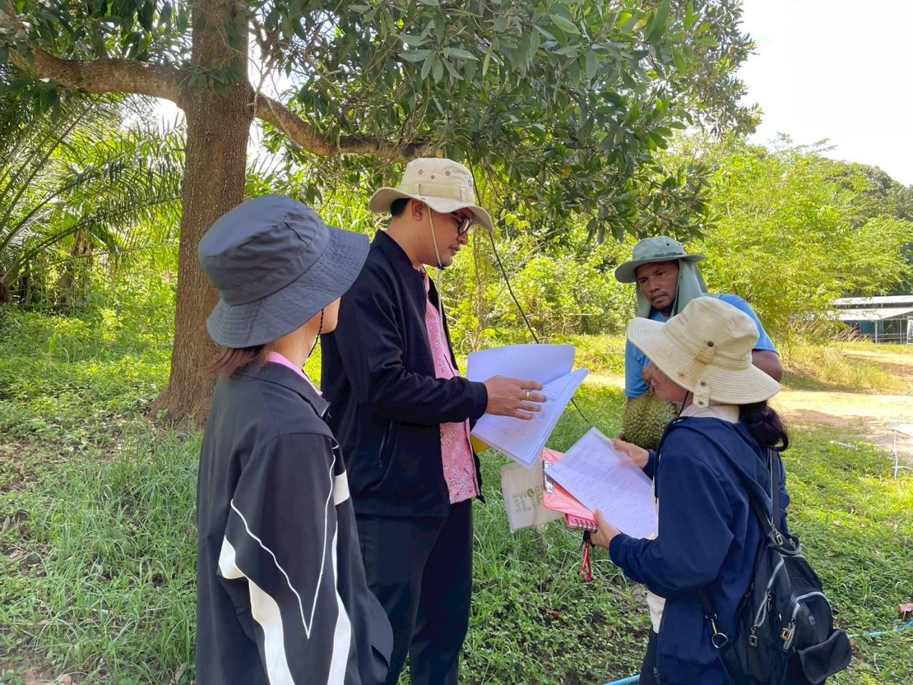 ภาพประกอบที่ 1