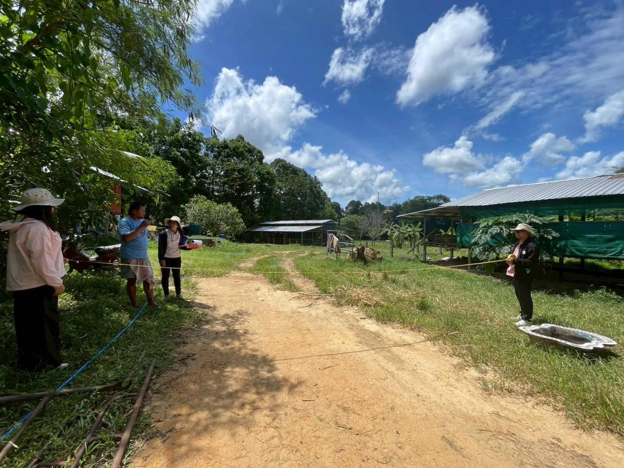 ภาพประกอบที่ 5