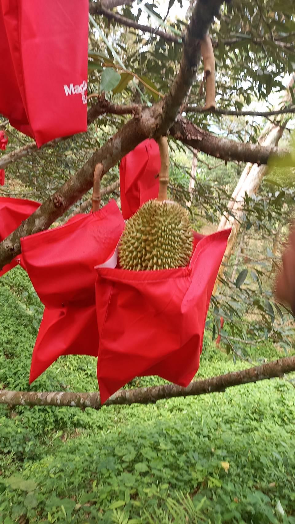 ภาพประกอบที่ 6