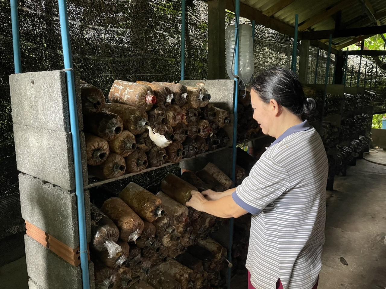 ภาพประกอบที่ 5