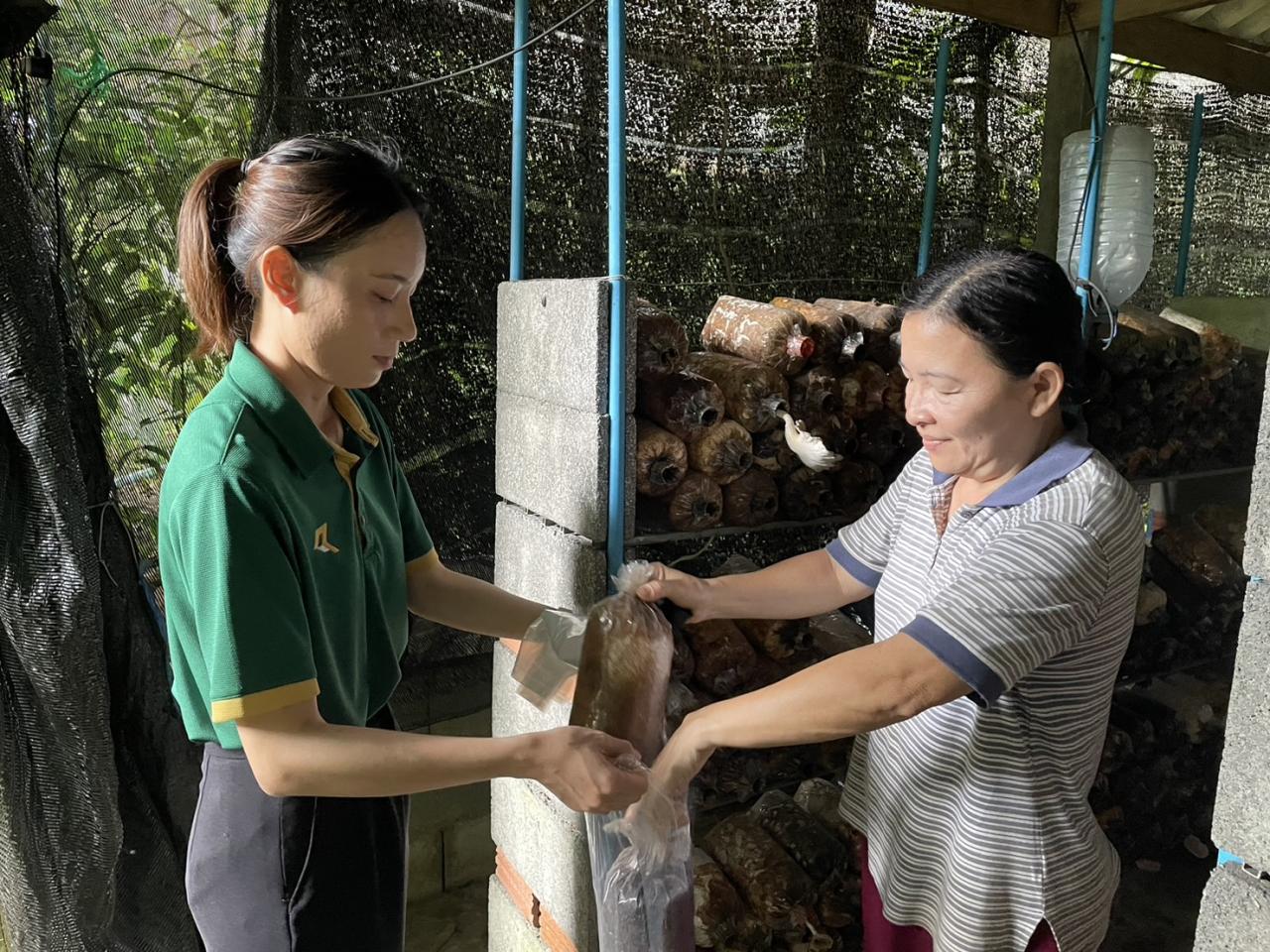 ภาพประกอบที่ 7