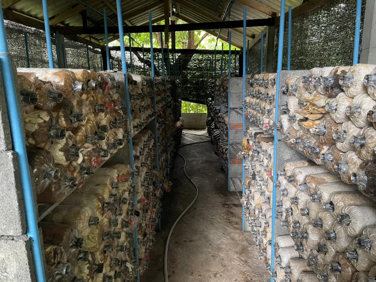 ภาพประกอบที่ 9