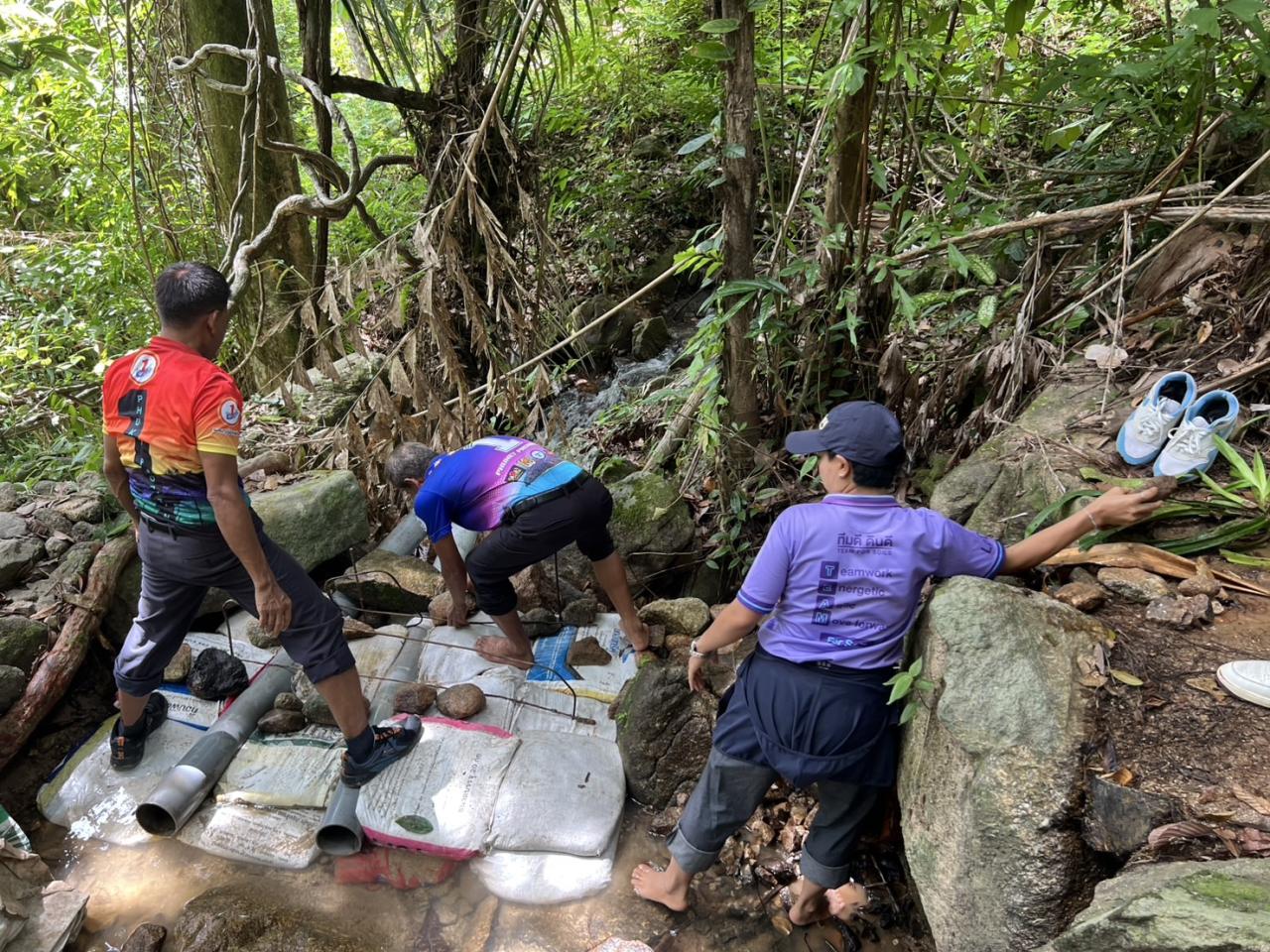 ภาพประกอบที่ 7