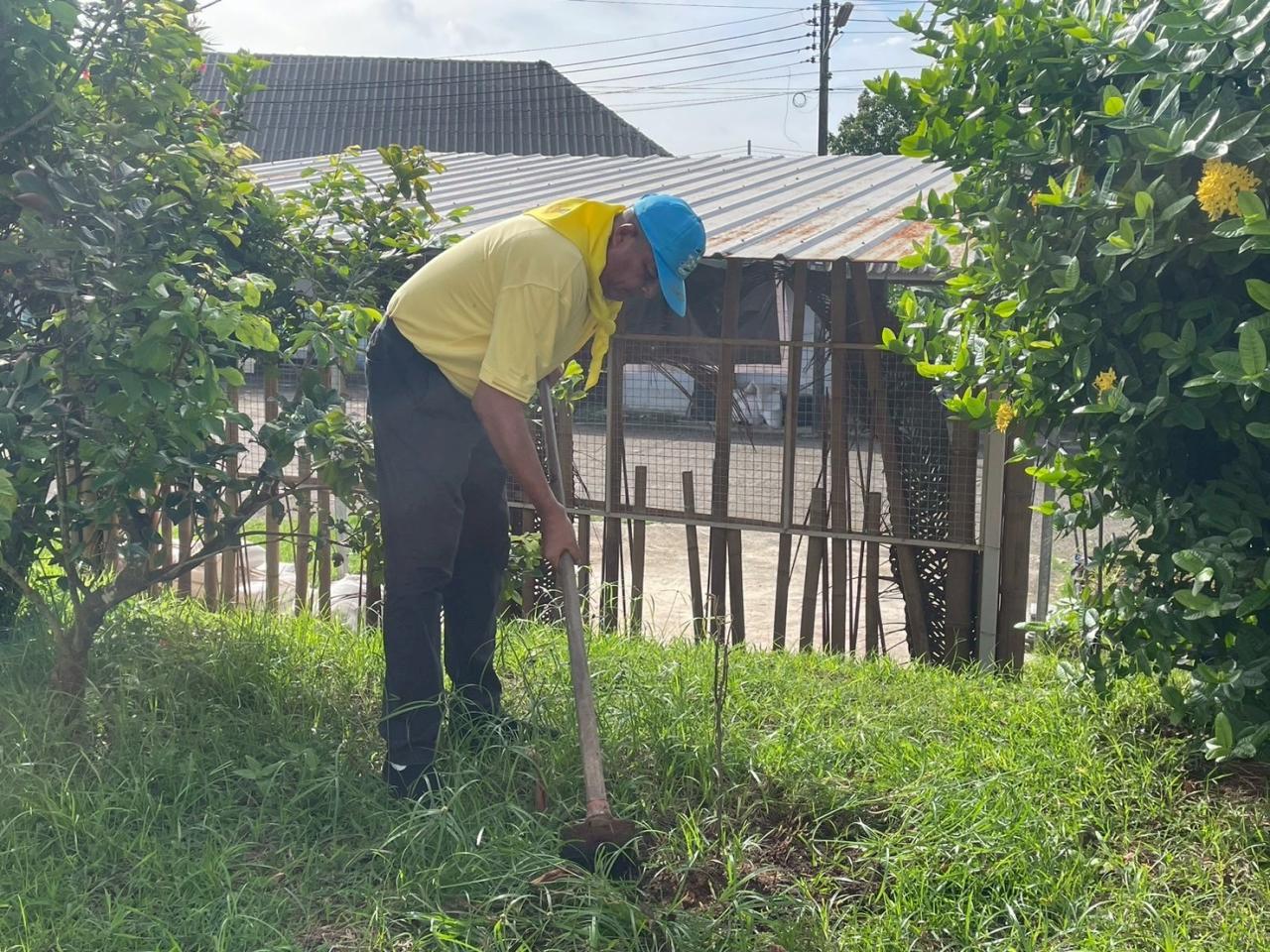 ภาพประกอบที่ 0