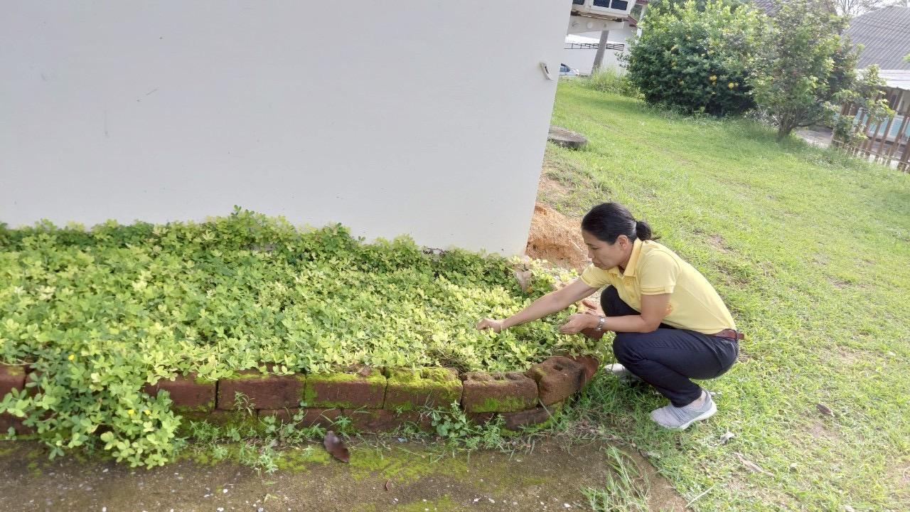 ภาพประกอบที่ 2