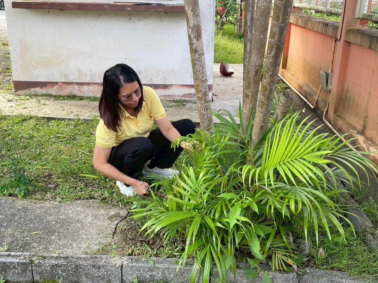 ภาพประกอบที่ 3