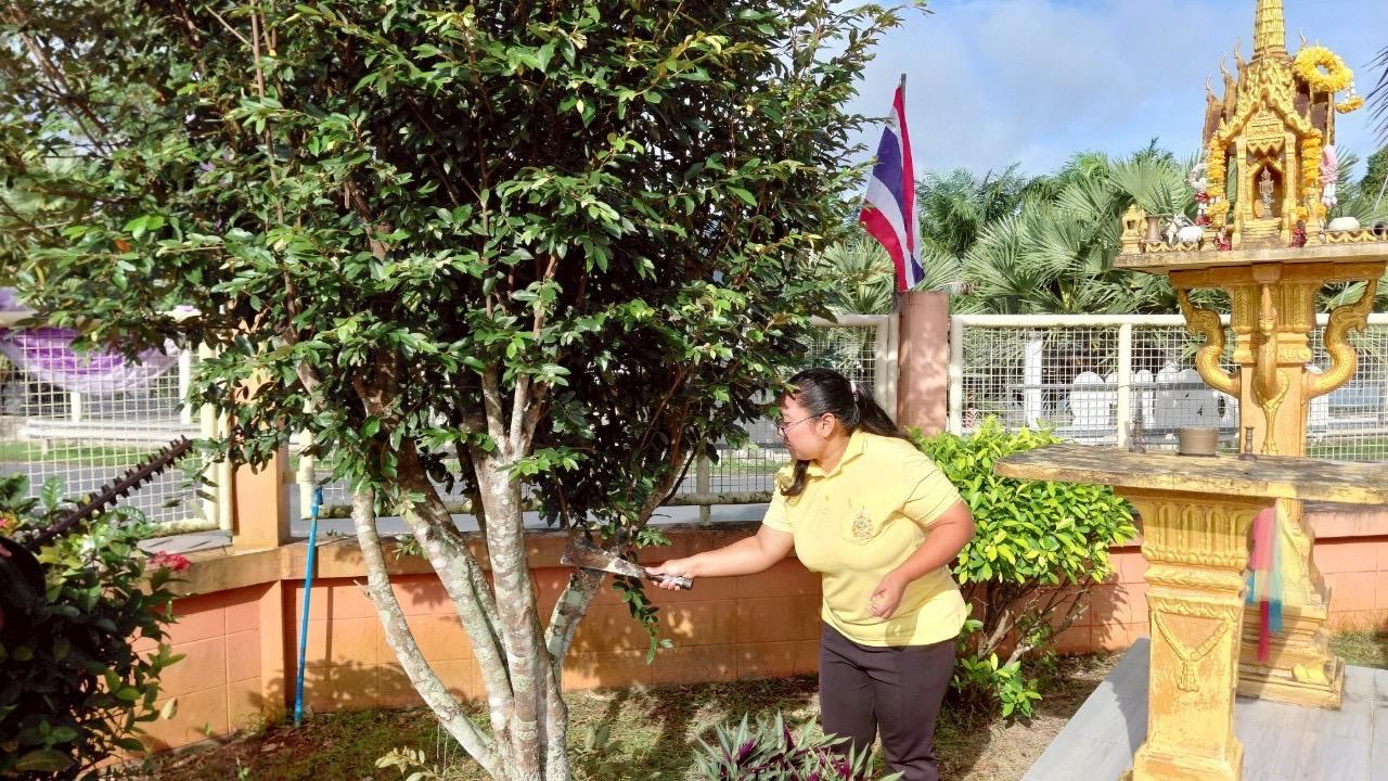 ภาพประกอบที่ 5