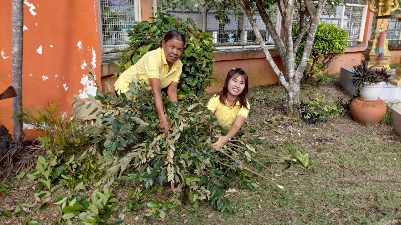 ภาพประกอบที่ 6