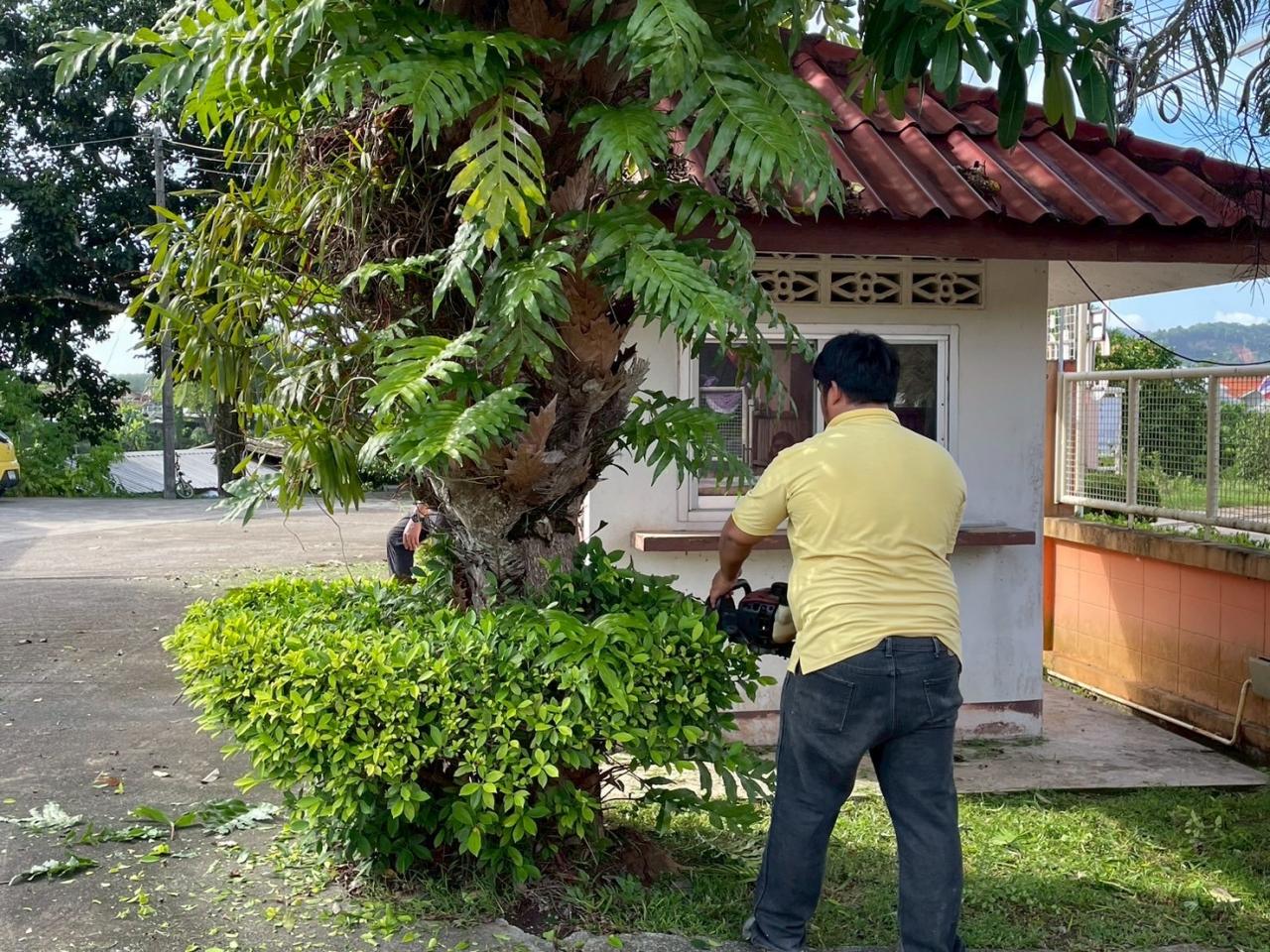 ภาพประกอบที่ 8